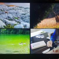 Televisore Philips 32" No Smart + supporto parete.