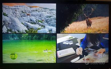 Televisore Philips 32" No Smart + supporto parete.