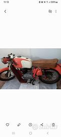 mv agusta 