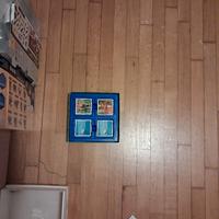 CARTE MEMORY DEI CUCCIOLONI