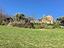 Immagine 12