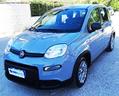fiat-panda-1-0-firefly-s-s-hybrid