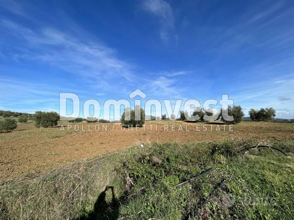 Rustico / Casale di 125 m² con 2 locali a Capalbio - Vista 4