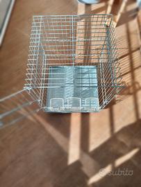 gabbia uccelli pappagallo 