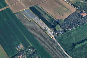 Terreno agricolo - Sant'Andrea in Besanigo