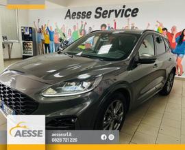 Ford Kuga 1.5 EcoBlue 120 CV aut. 2WD ST-Line X