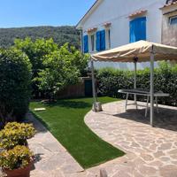 Elba bilocale a 150 mt dal mare