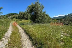 Terreno Agricolo Pistoia [Cod. rif 3239611VCG]
