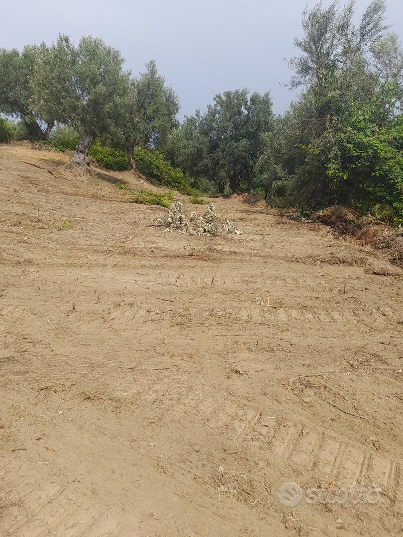 Terreno agricolo con due casolari - Vista 4