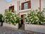 Immagine 24
