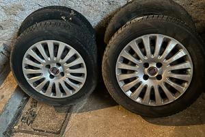 Cerchi fiat punto evo