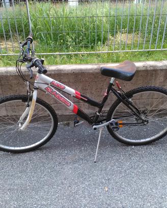 Mountain Bike  R&B