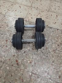 coppia manubri da 18 kg a manubrio 