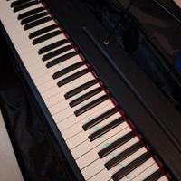 Pianoforte digitale Souidmy G-110W