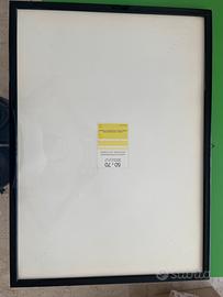 Cornice con vetro 50x70 cm