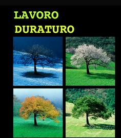 Lavoro CONTINUATIVO perugia deruta todi limitrofi