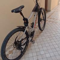 ebike olimpia ex 900