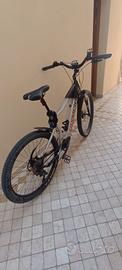 ebike olimpia ex 900