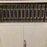 Lotto Treccani 22 Volumi: Enciclopedia e Dizionari