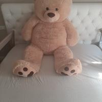 orso peluche 