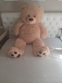 orso peluche 
