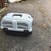 trasportono cane taglia piccola