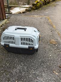trasportono cane taglia piccola