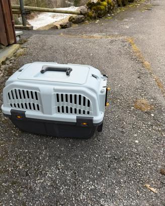 trasportono cane taglia piccola