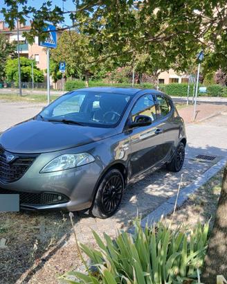Lancia ypsilon elefantino GPL