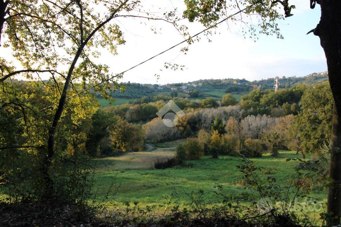 TER. AGRICOLO A POGGIO CATINO - Vista 5
