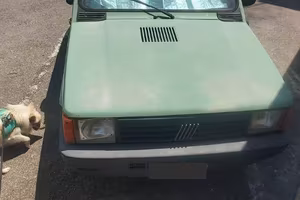 Panda perfettamente funzionante