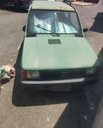 Panda perfettamente funzionante