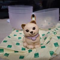 Gattino thun Limited edition Bauli 2026 