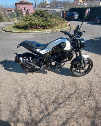 Benelli Leoncino 125