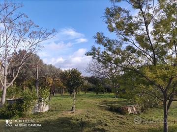 Terreno agricolo