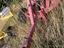 Immagine 1
