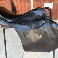 Sella sella Kiefer Excellent