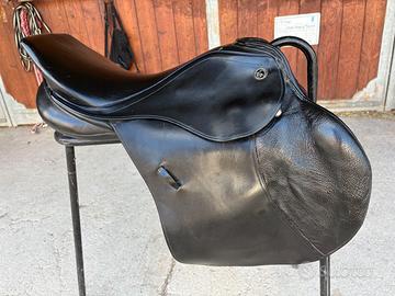 Sella sella Kiefer Excellent