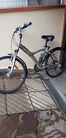 bicicletta unisex