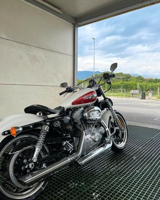 Harley sportster