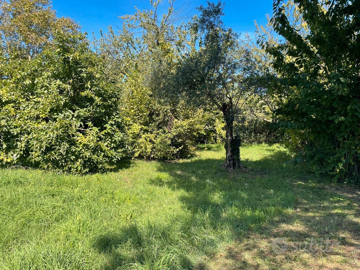 Terreno edificabile - Vista 2