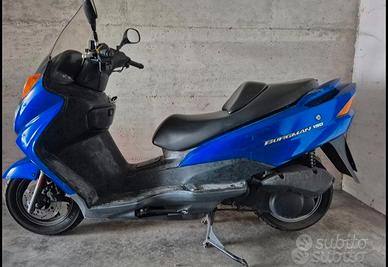scoter