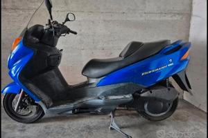 scoter