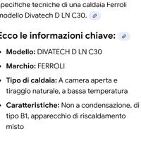 caldaia Ferrolli DIVAtech 