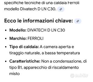 caldaia Ferrolli DIVAtech 