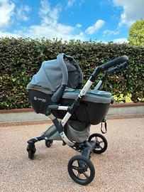 TRIO CONCORD NEO