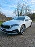 skoda-octavia-2-0-tdi-evo-scr-200-cv-dsg-4x4-wagon