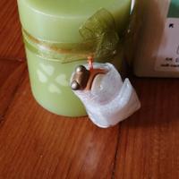 CANDELA THUN con coccinella