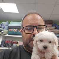 Maltese toy