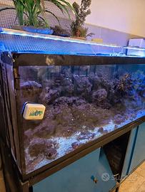 ACQUARIO PER PESCI TROPICALI